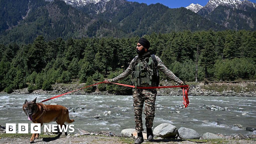 Pahalgam attack: A year on, Kashmir's tourism industry struggles under weight of trauma